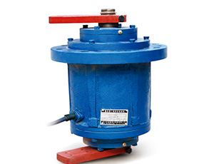 YZSL立式振動電機(jī)